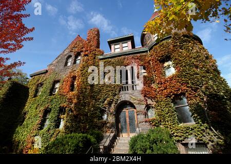 Bella casa antica coperta di viti e boston ivy a Toronto, Canada Foto Stock