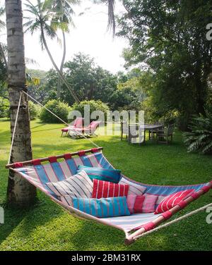 Shot di cuscini multicolore su amaca nel giardino sul retro con prato verde e alberi Foto Stock