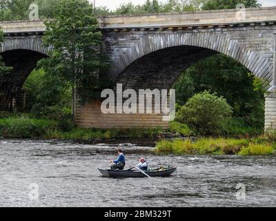 Vola a bordo di un pescatore con Ghillie sul fiume Tweed a Kelso Foto Stock