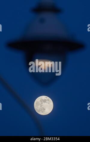 Londra, Regno Unito. Mercoledì, 6 maggio, 2020. Vista su una luna piena a Ealing, Londra. Data foto: Martedì 7 aprile 2020. Foto: Roger Garfield/Alamy Live News Foto Stock