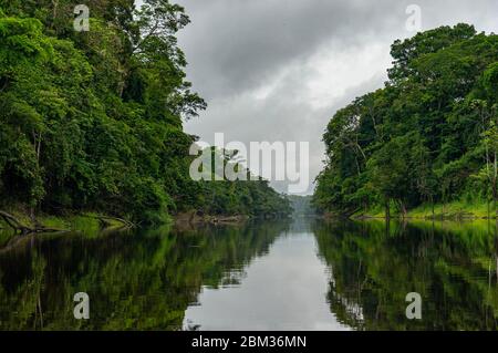 Rio Yana Yakku Yacu riflesso nella foresta pluviale acqua Foto Stock