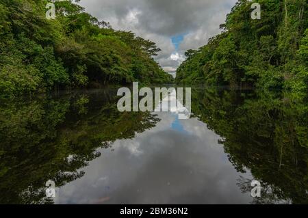 Rio Yana Yakku Yacu riflesso nella foresta pluviale acqua Foto Stock