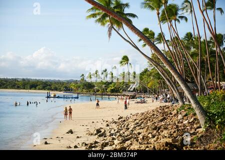 Gli alberi di palma si snodano nel vento in un resort sull'isola tropicale delle Fiji Foto Stock