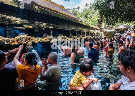 Le preghiere sono in piscina del Tempio di Holy Springs, nome locale di questo tempio 'Tirta Empul ' Foto Stock