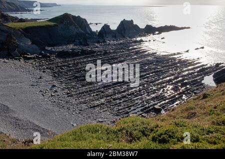 Rocky Hartland Quay a Devon, sul sentiero della costa sud-occidentale, era un tempo un fiorente porto e porto. L'hotel è comodo per chi ama fare escursioni. Foto Stock