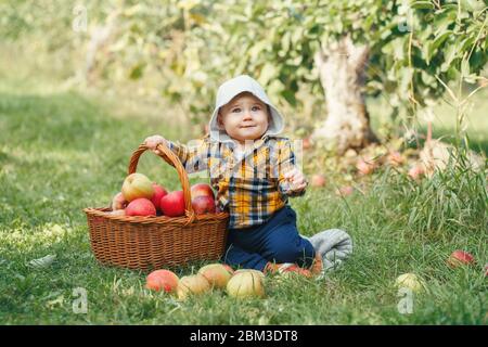 Felice bambino in azienda che raccoglie mele in frutteto. Ritratto di simpatico adorabile bambino divertente in abiti gialli con cesto di vimini. Raccolta di bambini Foto Stock