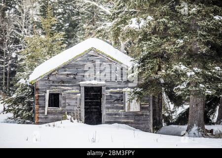 Vecchia cabina trappers nella foresta. Foto Stock