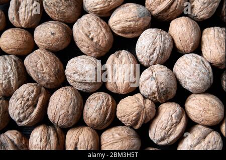 noce su fondo di legno nero ancora vita, struttura noce Foto Stock