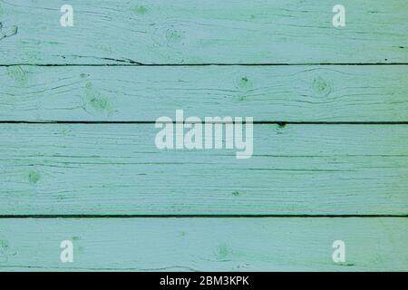 vecchio muro di legno verde chiaro dipinto di una casa giardino Foto Stock