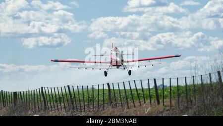 Aereo fumigazione trattore aereo che sorvola una piantagione Foto Stock