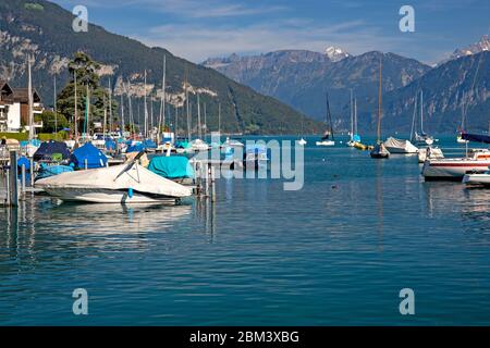 Marina a Spiez sul Lago Thun Foto Stock