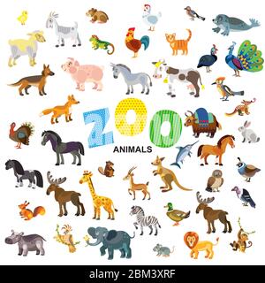 Animali dello zoo in vista frontale e laterale grande cartoon vettoriale in stile piatto isolato su sfondo bianco. Illustrazione vettoriale degli animali per il bambino Illustrazione Vettoriale