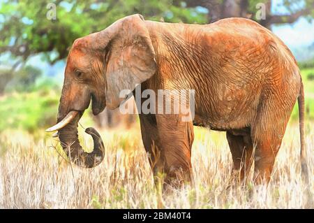 Pittura African Elephant colorato sembra immagine, Loxodonta africana, Tanzania, Africa Orientale Foto Stock