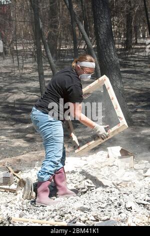 Bastrop Texas USA, settembre 2011: La famiglia passa attraverso la casa danneggiata dopo massicci incendi boschivi spazzati attraverso quartieri boscosi, bruciando più di 1400 case nella zona all'inizio di settembre. ©Marjorie Kamys Cotera/Daemmrich Photography Foto Stock