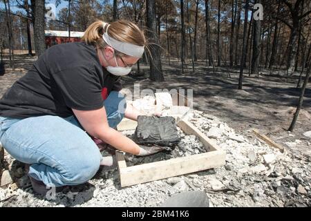 Bastrop Texas USA, settembre 2011: La famiglia passa attraverso la casa danneggiata dopo massicci incendi boschivi spazzati attraverso quartieri boscosi, bruciando più di 1400 case nella zona all'inizio di settembre. ©Marjorie Kamys Cotera/Daemmrich Photography Foto Stock