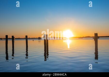 Il sole sorge sul porto di Tauranga, acqua tranquilla e vecchi pali lier silhoueted in luce del mattino. Foto Stock