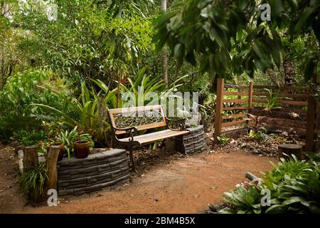 Bancale decorativo in legno e ferro battuto con pareti adiacenti in pietra circondate da alberi e fitta vegetazione in giardino sub-tropicale in Australia Foto Stock