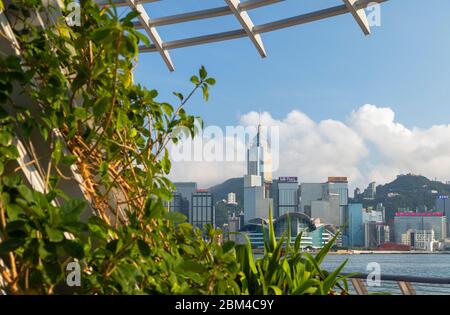 Skyline di Hong Kong dalla passeggiata di Tsim Sha Tsui, Kowloon, Hong Kong Foto Stock