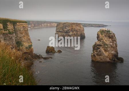 Marsden Rock a Marsden Bay vicino a South Shields, Regno Unito. Foto Stock