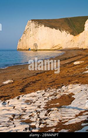 Luce mattutina sulle scogliere della costa Jurassic a Dorset, Regno Unito. Foto Stock