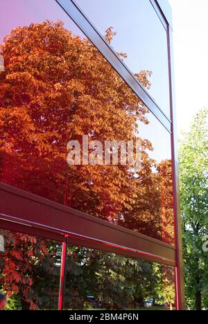 Summer Pavilion Serpentine Galleries Serpentine Pavilion 2010, Kensington Gardens, London, W2 3XA di Jean Nouvel Foto Stock
