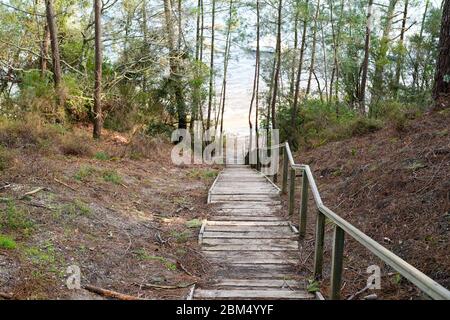 Scale di legno accesso alla spiaggia in carcans maubuisson lago Francia Foto Stock