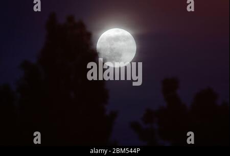 Matosinhos, Portogallo, 6 maggio 2020: L'ultima superluna dell'anno si vede accanto ad un lampione. Credit: Nuno Guimaraes/Alamy Live News Foto Stock