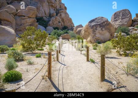 escursioni il sentiero valle nascosto nel parco nazionale joshua tree, california negli stati uniti Foto Stock