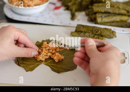 Tradizionale Dolma Turca o Sarma. La donna sta insaccando le foglie di uva su sfondo bianco Foto Stock