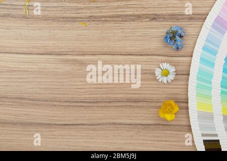 Gamma di carte colore su scrivania in legno con diversi fiori freschi Foto Stock