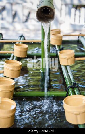 Mestoli di bambù in un temizuya o Chozuya (padiglioni di abluzioni tradizionali trovati ai santuari di Shinto), Foto Stock