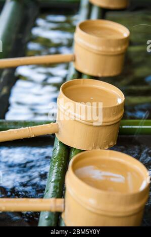 Mestoli di bambù in un temizuya o Chozuya (padiglioni di abluzioni tradizionali trovati ai santuari di Shinto), Foto Stock