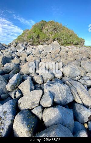 Isola delle scimmie, Baia di te Waewae, Nuova Zelanda Foto Stock