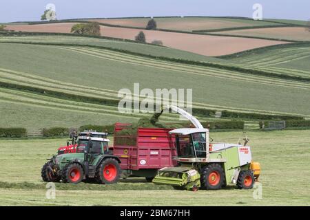 Howardian Hills, Brandsby, North Yorkshire. 7 maggio 2020. Gli agricoltori sono impegnati a raccogliere e raccogliere il raccolto di insilato in condizioni meteorologiche favorevoli in tutto il Nord dell'Inghilterra, prima del fine settimana delle feste della Banca. Credit: Matt Pennington / Alamy Live News. Foto Stock