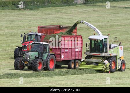 Howardian Hills, Brandsby, North Yorkshire. 7 maggio 2020. Gli agricoltori sono impegnati a raccogliere e raccogliere il raccolto di insilato in condizioni meteorologiche favorevoli in tutto il Nord dell'Inghilterra, prima del fine settimana delle feste della Banca. Credit: Matt Pennington / Alamy Live News. Foto Stock