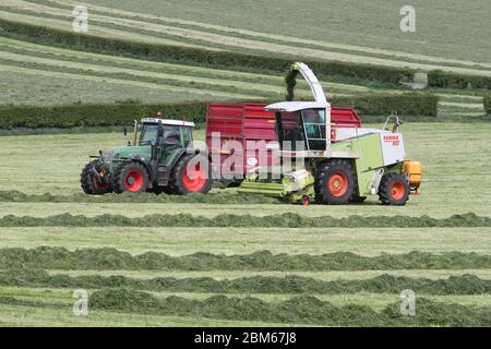 Howardian Hills, Brandsby, North Yorkshire. 7 maggio 2020. Gli agricoltori sono impegnati a raccogliere e raccogliere il raccolto di insilato in condizioni meteorologiche favorevoli in tutto il Nord dell'Inghilterra, prima del fine settimana delle feste della Banca. Credit: Matt Pennington / Alamy Live News. Foto Stock