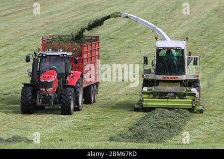 Howardian Hills, Brandsby, North Yorkshire. 7 maggio 2020. Gli agricoltori sono impegnati a raccogliere e raccogliere il raccolto di insilato in condizioni meteorologiche favorevoli in tutto il Nord dell'Inghilterra, prima del fine settimana delle feste della Banca. Credit: Matt Pennington / Alamy Live News. Foto Stock