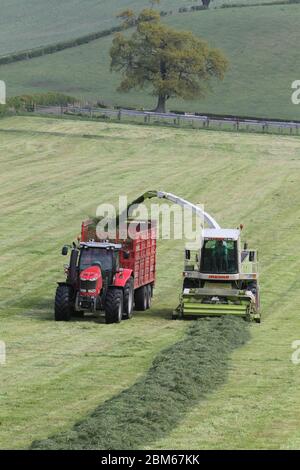 Howardian Hills, Brandsby, North Yorkshire. 7 maggio 2020. Gli agricoltori sono impegnati a raccogliere e raccogliere il raccolto di insilato in condizioni meteorologiche favorevoli in tutto il Nord dell'Inghilterra, prima del fine settimana delle feste della Banca. Credit: Matt Pennington / Alamy Live News. Foto Stock