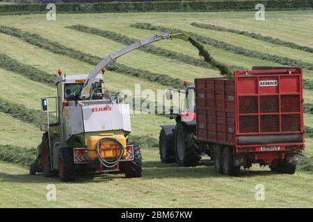 Howardian Hills, Brandsby, North Yorkshire. 7 maggio 2020. Gli agricoltori sono impegnati a raccogliere e raccogliere il raccolto di insilato in condizioni meteorologiche favorevoli in tutto il Nord dell'Inghilterra, prima del fine settimana delle feste della Banca. Credit: Matt Pennington / Alamy Live News. Foto Stock