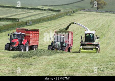 Howardian Hills, Brandsby, North Yorkshire. 7 maggio 2020. Gli agricoltori sono impegnati a raccogliere e raccogliere il raccolto di insilato in condizioni meteorologiche favorevoli in tutto il Nord dell'Inghilterra, prima del fine settimana delle feste della Banca. Credit: Matt Pennington / Alamy Live News. Foto Stock