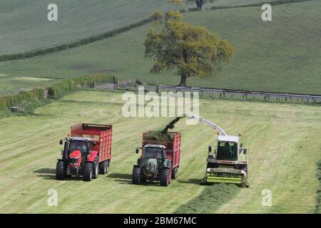 Howardian Hills, Brandsby, North Yorkshire. 7 maggio 2020. Gli agricoltori sono impegnati a raccogliere e raccogliere il raccolto di insilato in condizioni meteorologiche favorevoli in tutto il Nord dell'Inghilterra, prima del fine settimana delle feste della Banca. Credit: Matt Pennington / Alamy Live News. Foto Stock