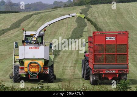 Howardian Hills, Brandsby, North Yorkshire. 7 maggio 2020. Gli agricoltori sono impegnati a raccogliere e raccogliere il raccolto di insilato in condizioni meteorologiche favorevoli in tutto il Nord dell'Inghilterra, prima del fine settimana delle feste della Banca. Credit: Matt Pennington / Alamy Live News. Foto Stock