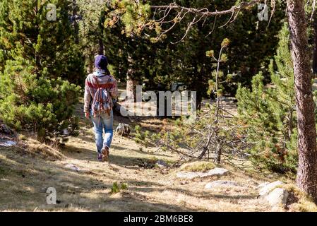 Vista posteriore di una donna zaino in spalla che cammina lungo il sentiero nella foresta Foto Stock