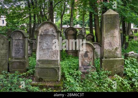 Lapidi al cimitero ebraico di Tarnow, Malopolska, nota anche come regione della Polonia minore Foto Stock