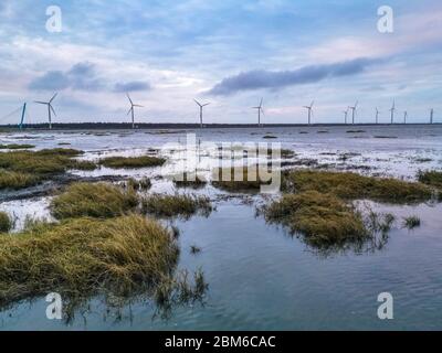 Gaomei wetland un'attrazione turistica con generatore di elettricità a vento sullo sfondo Foto Stock