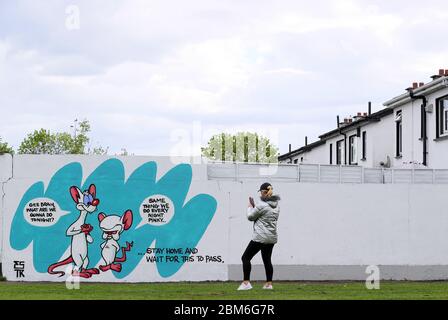 Una donna prende le immagini di un nuovo murale dell'artista irlandese emmalene Blake dei personaggi dei cartoni animati 'Pinky and the Brain' a Dublino sud. Questo è l'ultimo della serie "Stay at Home" dell'artista di Dublino che incoraggia la gente a rimanere attaccata alle distanze sociali. Altri artisti sono stati Dua Lipa, Robyn e Cardi B. Foto Stock