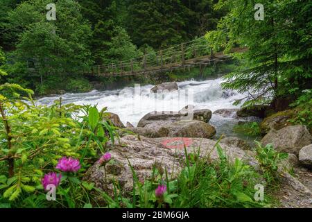 Escursioni alle cascate Reinbach sul sentiero Franziskus a Sand in Taufers Alto Adige Italia. Foto Stock