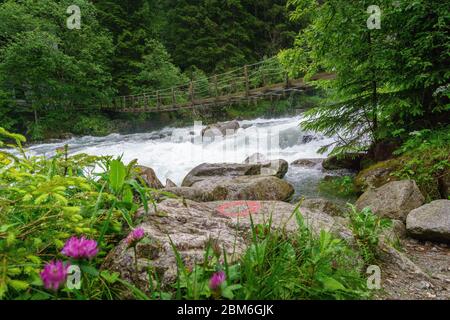 Escursioni alle cascate Reinbach sul sentiero Franziskus a Sand in Taufers Alto Adige Italia. Foto Stock