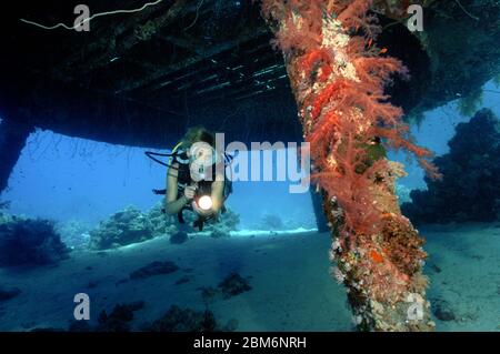 Taucher unter Eingang in Unterwasserhaus von Unterwassersiedlung von Jacques Yves Cousteau, Precontinente II, Rotes Meer, Shab Rumi, Sudan, Afrika Foto Stock