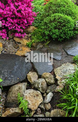 Pietre passo in giardino giapponese percorso in pietra fioritura rododendri, legno di bosso fioritura arbusti primavera Foto Stock